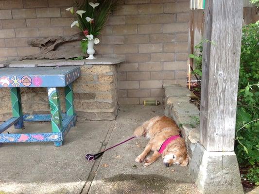 Saint Francis-Assisi Episcopal