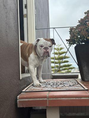 Spark Plug waiting for Aziz.