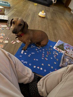 Prairie Animal Hospital