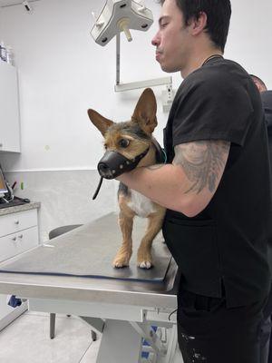 Good Care Animal Clinic