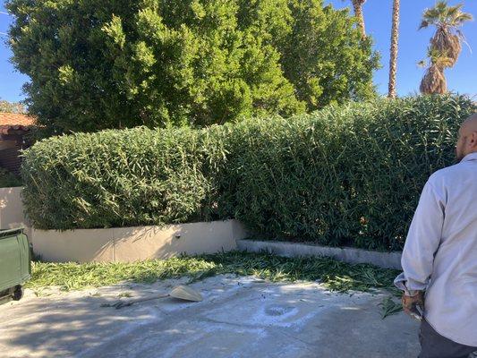 Kiki’s Landscaping