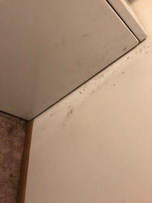 Mold and grease/dirt. On the walls, washer/dryer and all over the cheap horrible carpet.