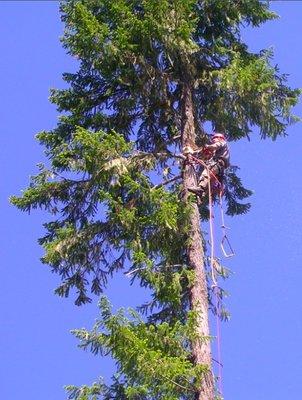 Gray Owl Tree Services