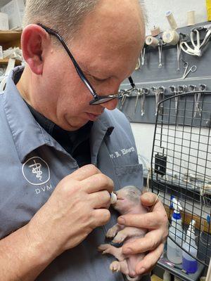 Cass County Veterinary Clinic