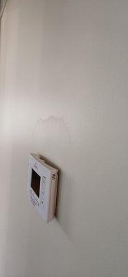 Their finished work. Shame on Anthony!