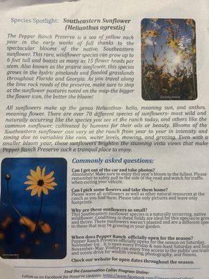 Pepper Ranch Preserve