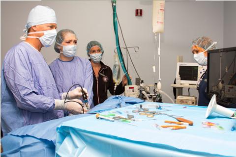 Arthroscopy of a canine knee prior to stabilization with a Tightrope system.