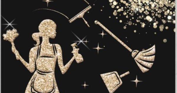 Dust To Shine Cleaning Service