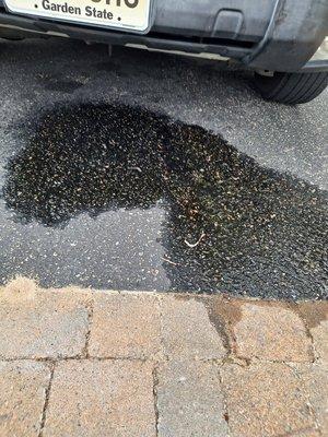 be aware of this company, for several months. they been taking my truck. keeps leaking. this pic he said it was fixed. DONT USE THEM