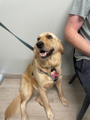 PAW Veterinary Center