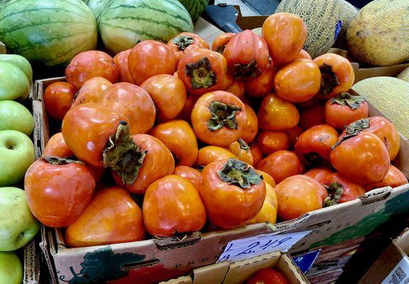 Sam's Daily Fresh Produce