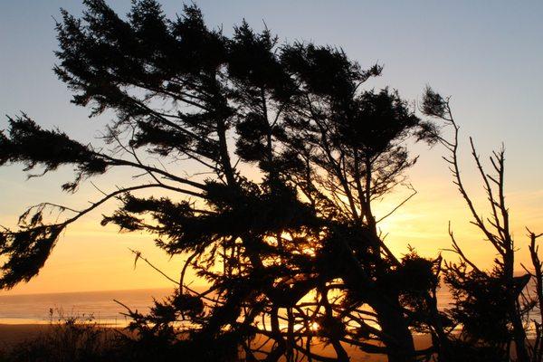 Redwood Eco Ebike Tours