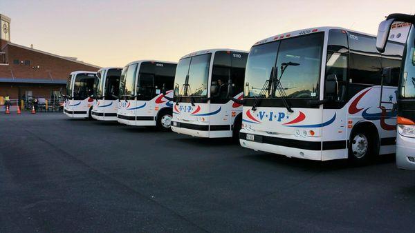 Vip Tour & Charter Bus Company