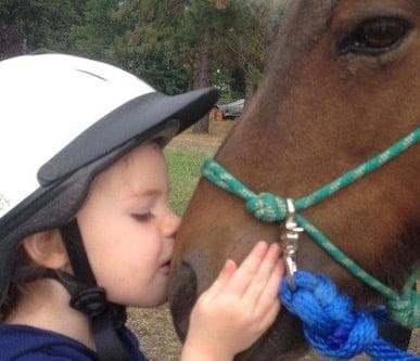 Animal Rescue Teaching for Any Level of Learner