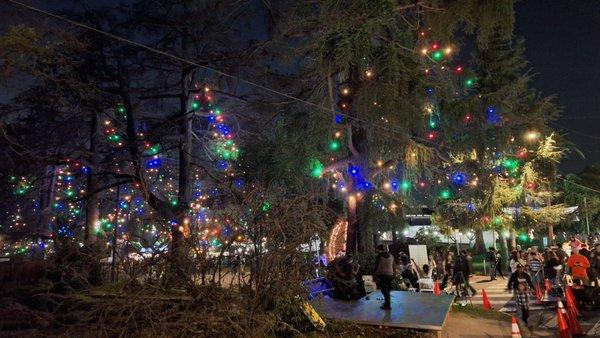 2025 tree lighting ceremony