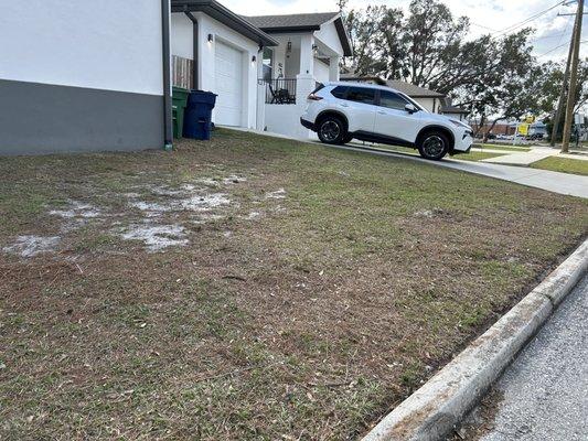 J&N Landscaping Elite Services