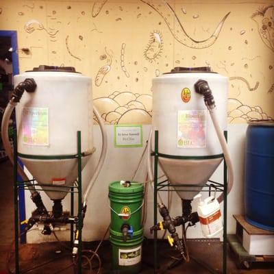 Compost Tea brewing!