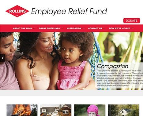 The Web Professional