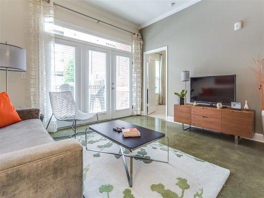 Elegant and Modern Living Room
