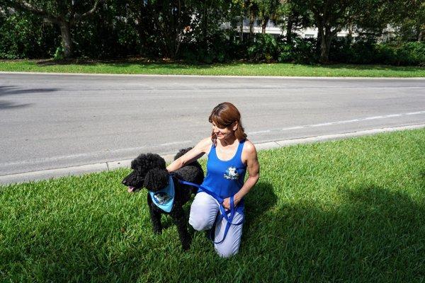 Doggie Latchkey Pet Sitting