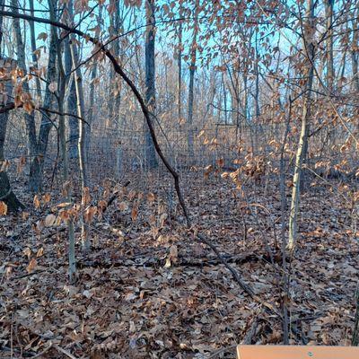 Mariton Wildlife Sanctuary