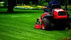 Ty Smith Lawns