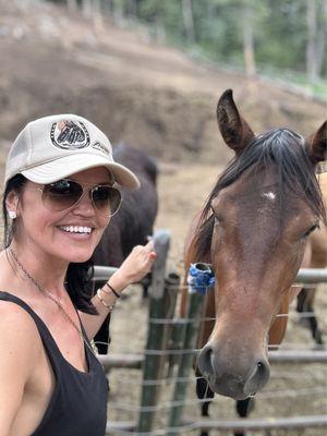 Bear Mountain Stables