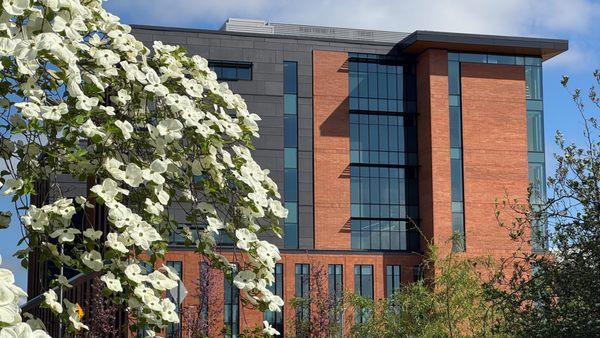 South side of the courthouse
