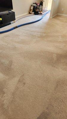 Wow That's Clean Carpet Cleaning & Janitorial