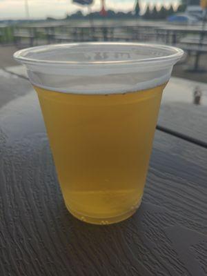 Beer from Revelation at the Hudson Fields Beer Garden