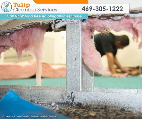Tulip Carpet Cleaning Frisco