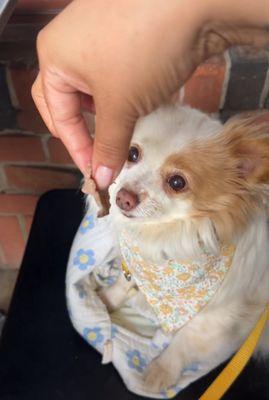 Sweet Pea's first restaurant visit