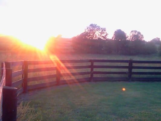 Destiny Bound Management