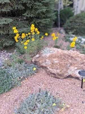 Achieve Tuckers Services