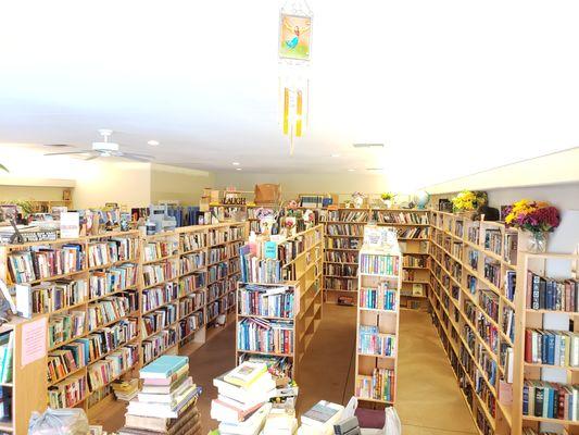 We had to downsize, but we've got most of them all in!
