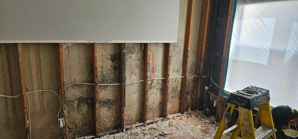 Top Down Restoration