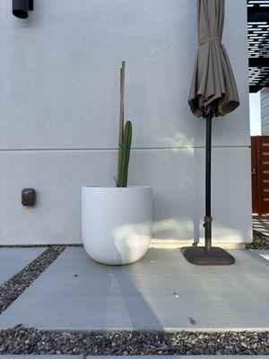 GDNC Cactus & Desert Plant Nursery