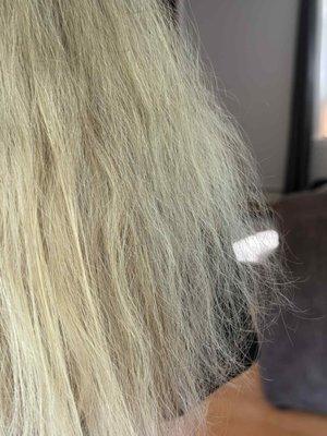 Close-up showing visible dryness and breakage in multiple sections the morning after the service.