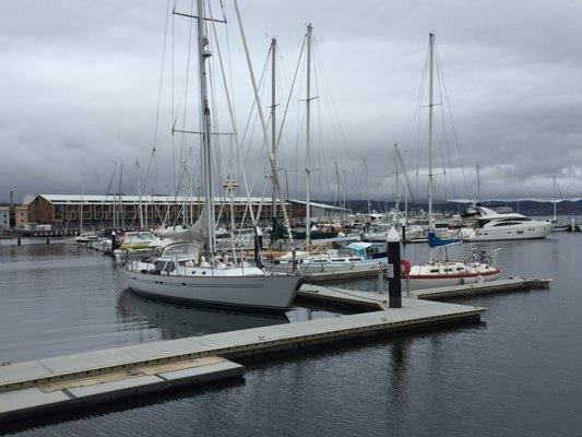 Build your wealth through business