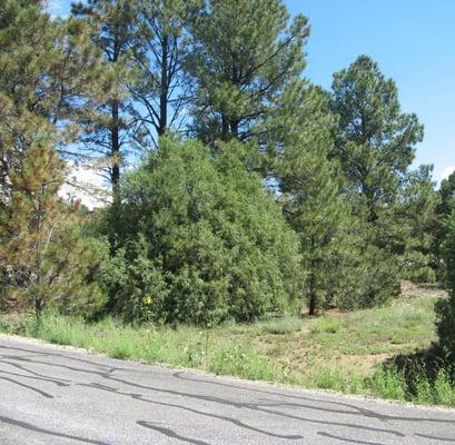 Cibola Realty Services