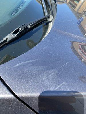 Nielson Kwik-N-Kleen Car Wash