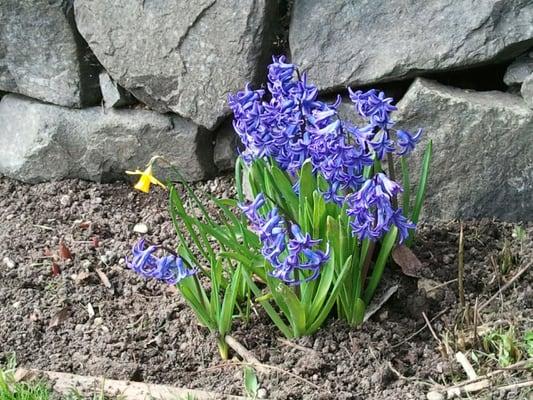 Restoration promotes a journey of Self Growth