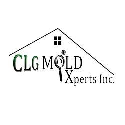 CLG Mold Xperts