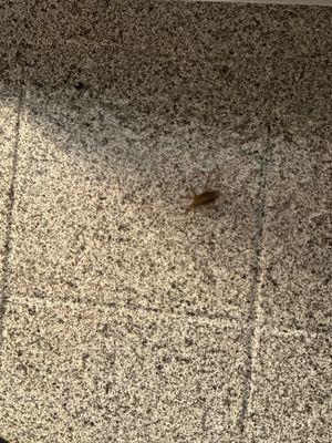 JK Residential Services