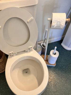 Cleo cleaning services