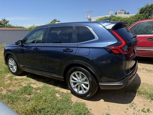 Prodigy Professional Detailing