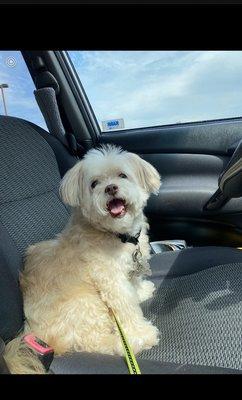 Intercity Veterinary Hospital ( Value Vet Animal Clinic)