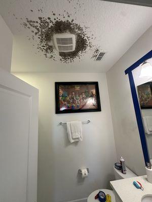 Mold in a bathroom ceiling