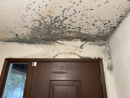 Pacific Northwest Inspections Group