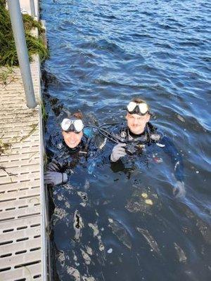 Woodland Weed Removal